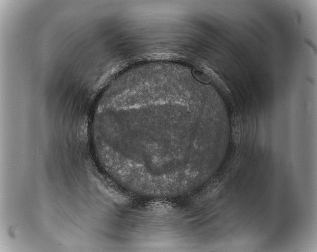X0000101970207200808011138
