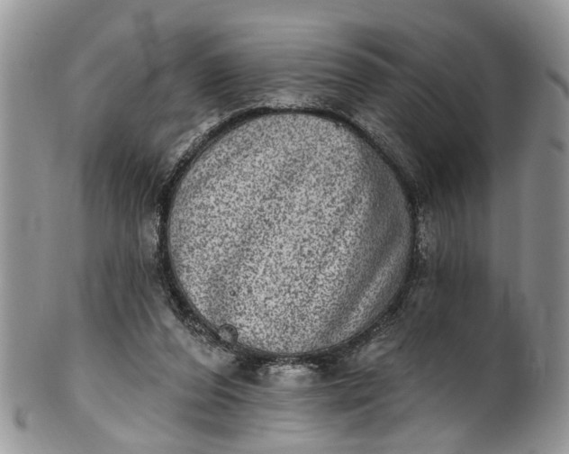 X0000101970208200808011138