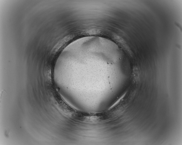 X0000101970212200808011138