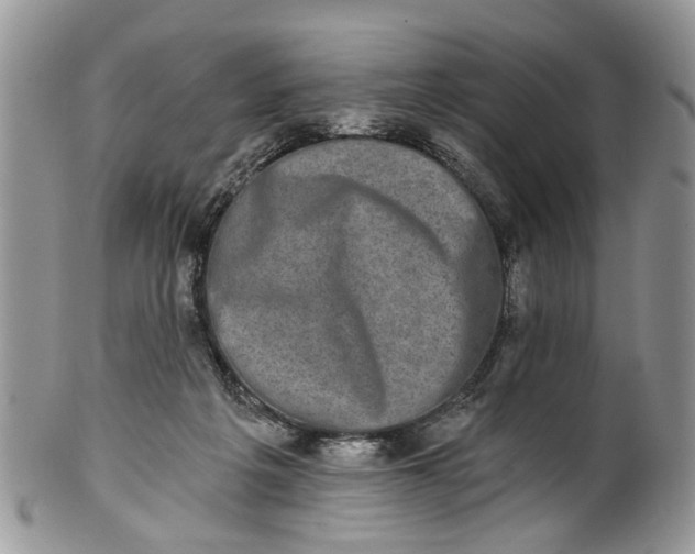 X0000101970217200808011138