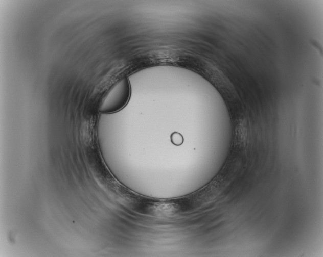 X0000101970218200808011138