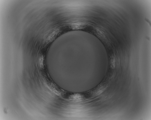 X0000101970219200808011138