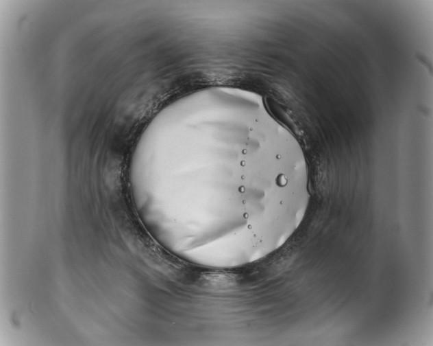 X0000101970221200808011138