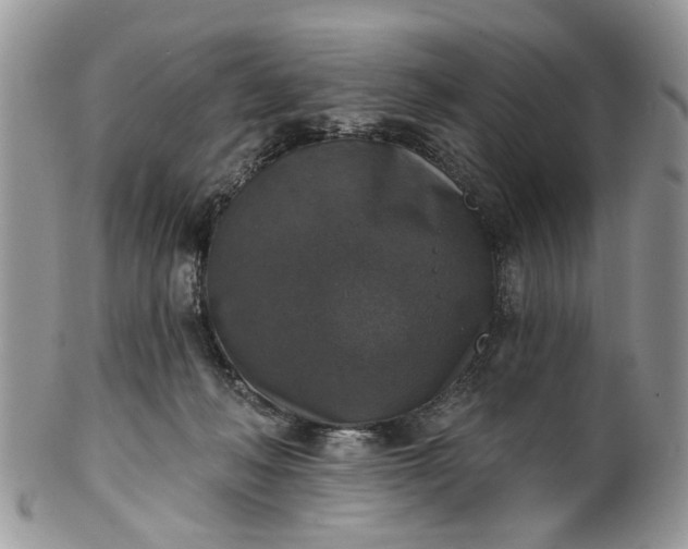 X0000101970222200808011138