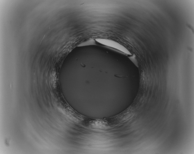 X0000101970223200808011138