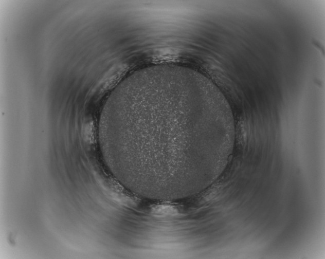 X0000101970224200808011138