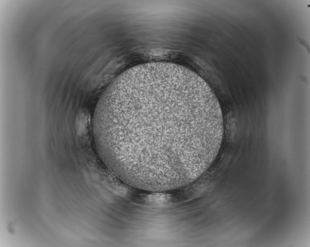 X0000101970225200808011138