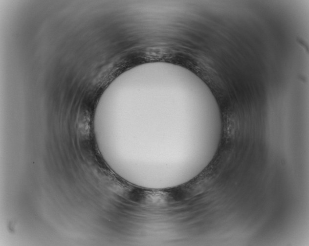X0000101970226200808011138