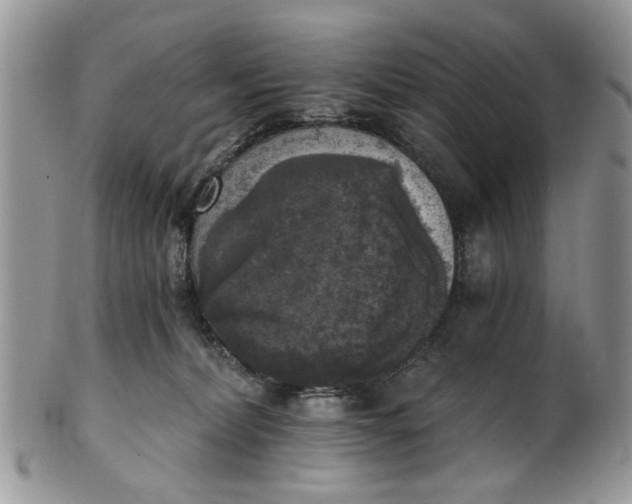 X0000101970228200808011138