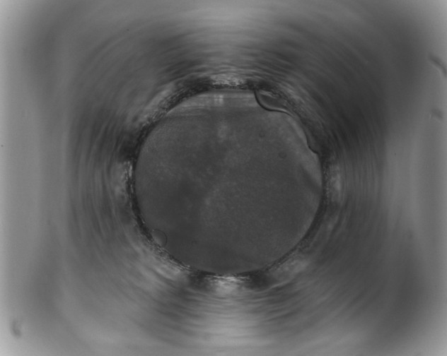 X0000101970229200808011138