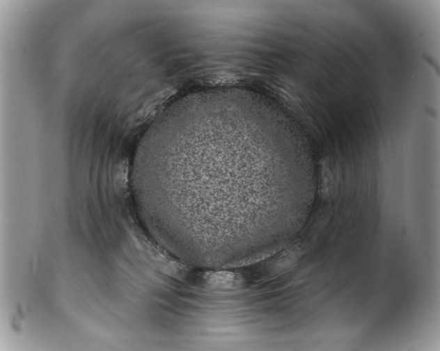 X0000101970230200808011138