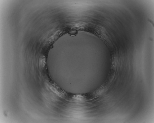 X0000101970231200808011138