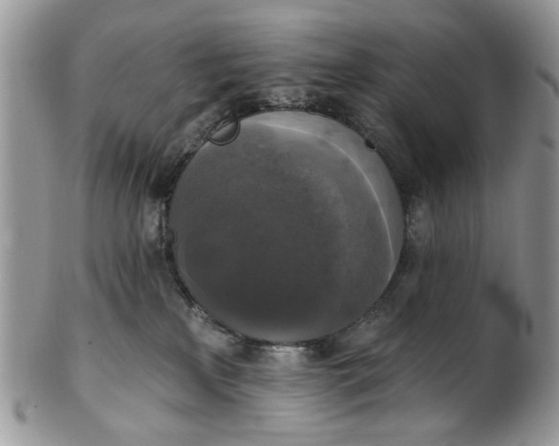 X0000101970233200808011138
