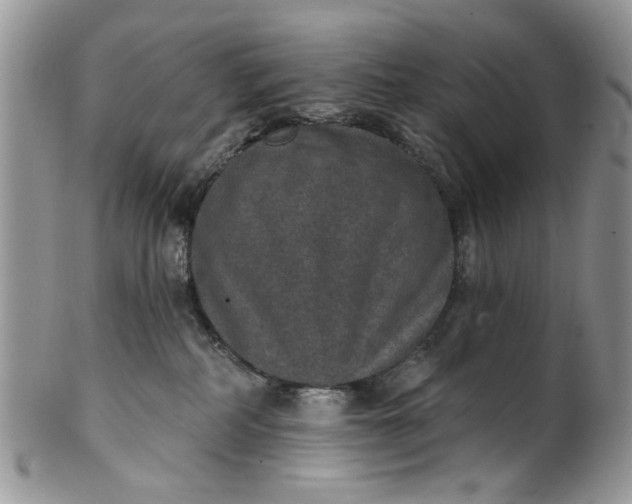 X0000101970234200808011138