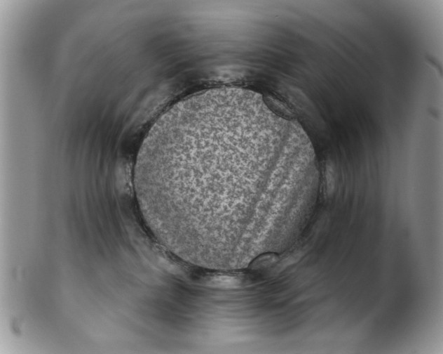 X0000101970236200808011138