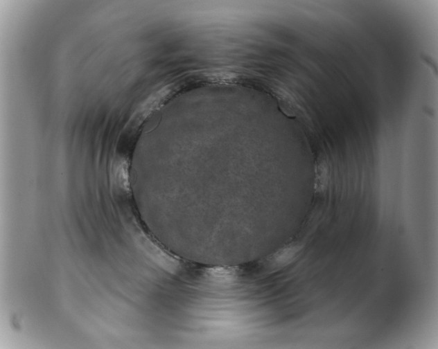 X0000101970238200808011138