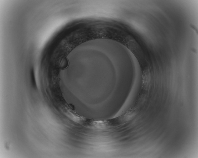 X0000101970239200808011138