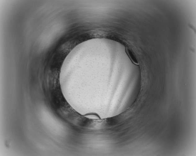 X0000101970240200808011138