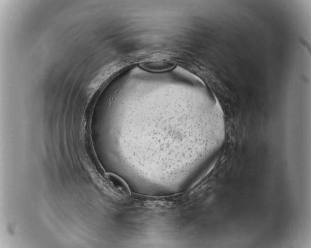 X0000101970242200808011137