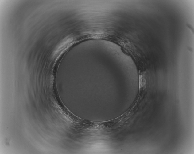X0000101970243200808011137