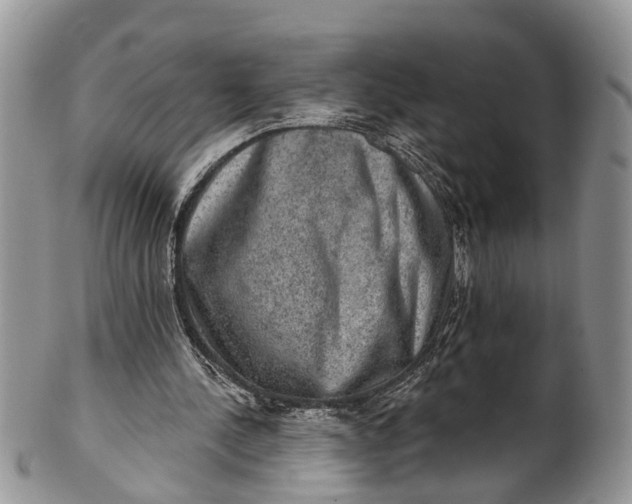 X0000101970244200808011137