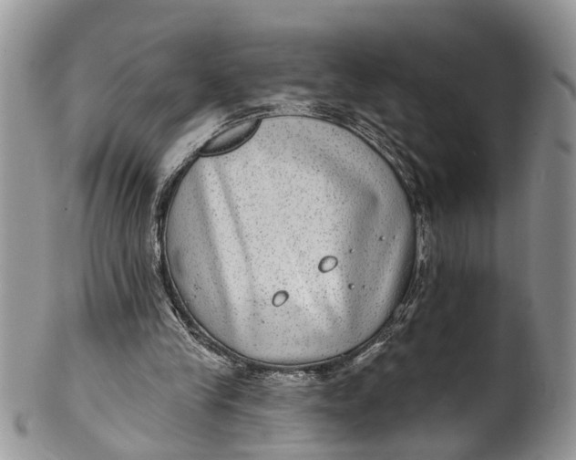 X0000101970245200808011137