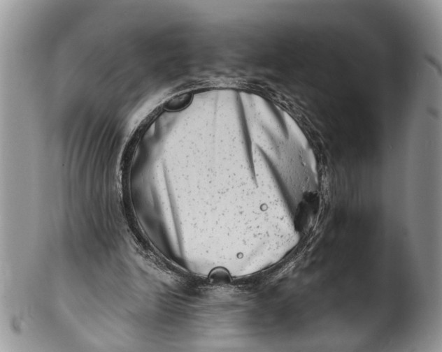 X0000101970246200808011137
