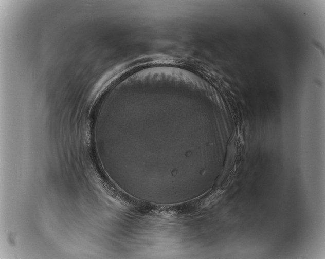 X0000101970247200808011137