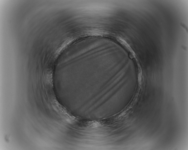 X0000101970249200808011137
