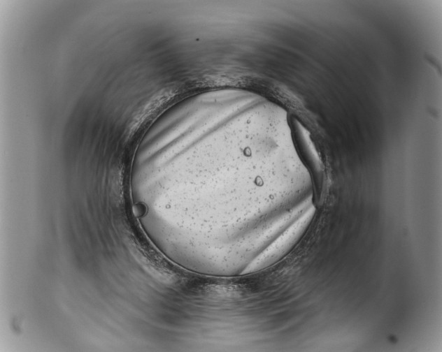 X0000101970250200808011137