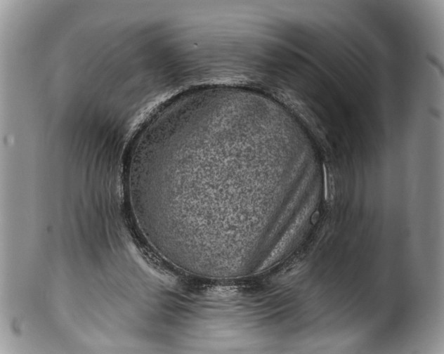 X0000101970252200808011137