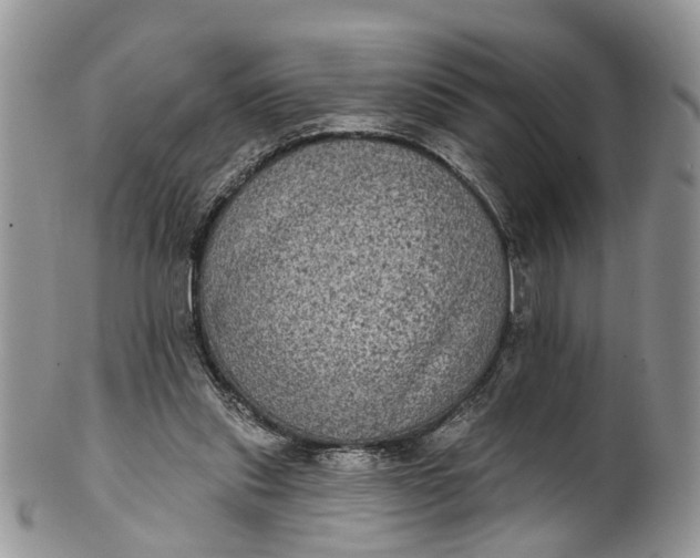 X0000101970253200808011137