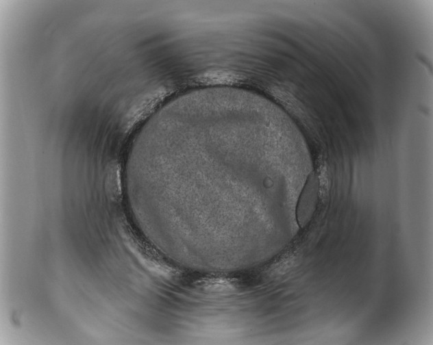 X0000101970254200808011137