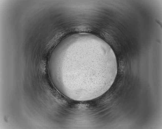 X0000101970255200808011137
