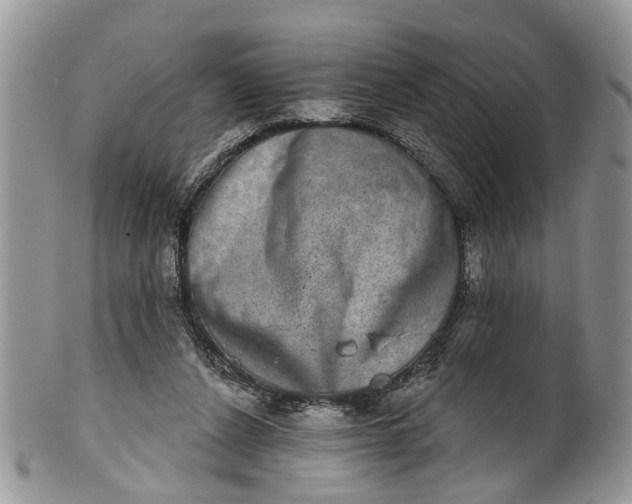 X0000101970256200808011137