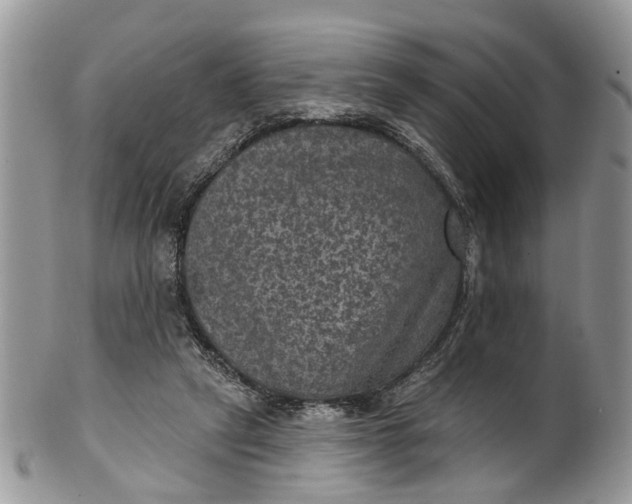 X0000101970257200808011137