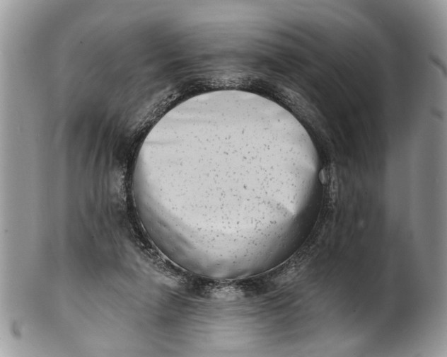 X0000101970258200808011137