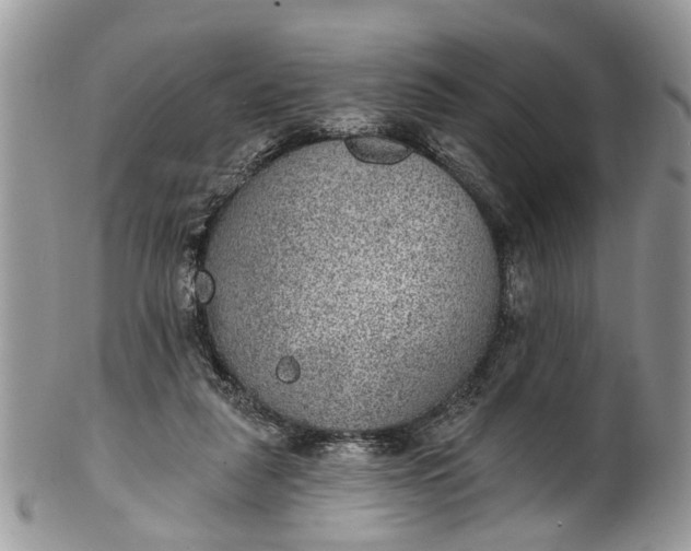 X0000101970259200808011137