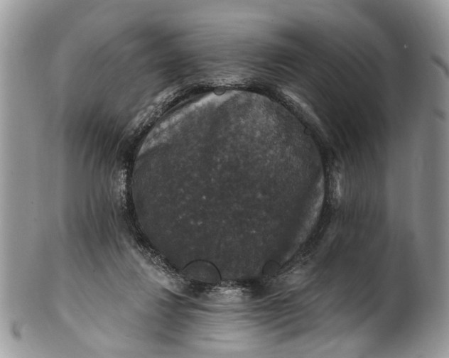 X0000101970260200808011137