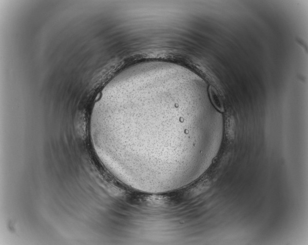 X0000101970261200808011137