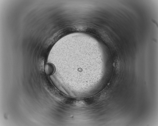 X0000101970262200808011137