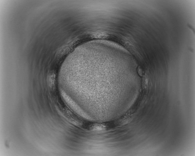 X0000101970263200808011137