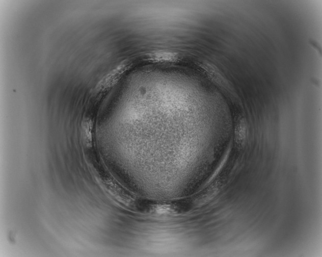 X0000101970264200808011137