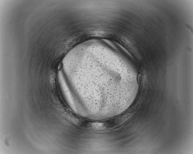X0000101970265200808011137
