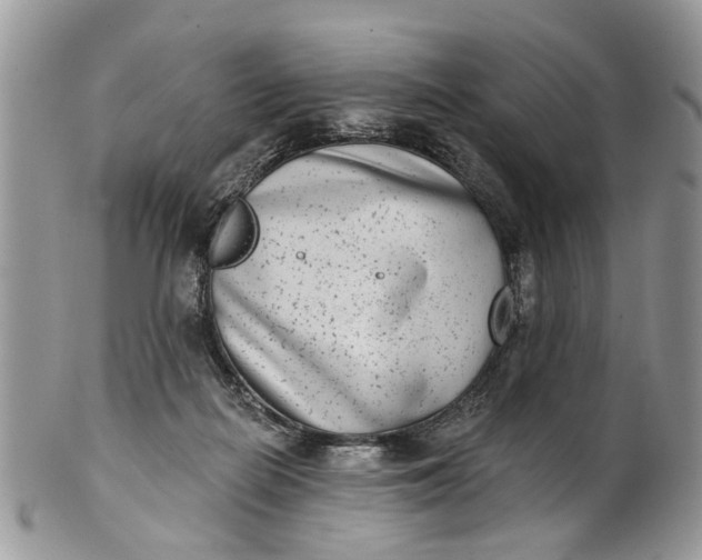 X0000101970266200808011137