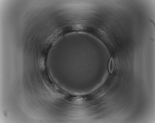 X0000101970267200808011137