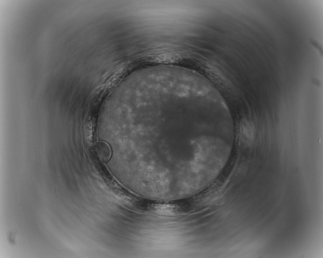 X0000101970268200808011137