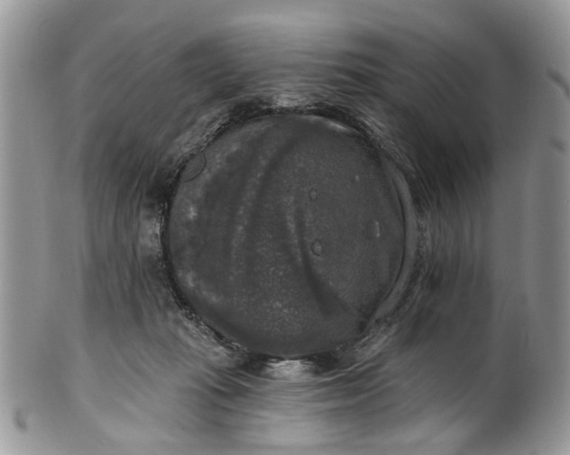 X0000101970269200808011137