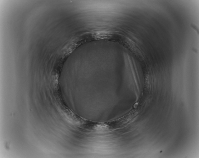 X0000101970271200808011137