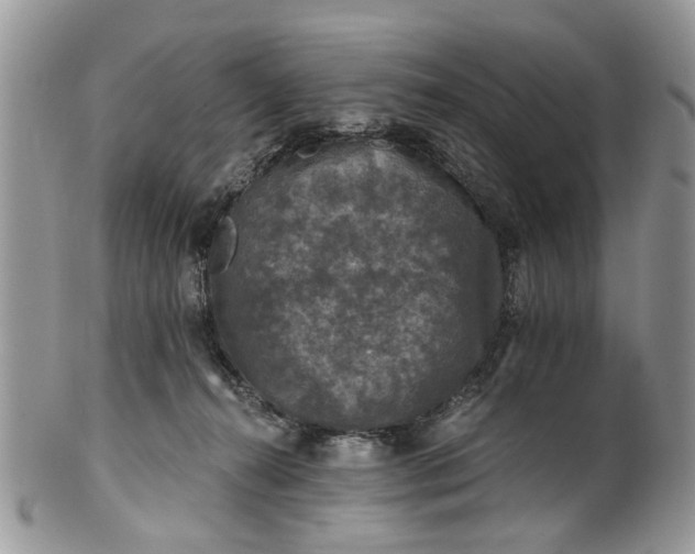 X0000101970272200808011137